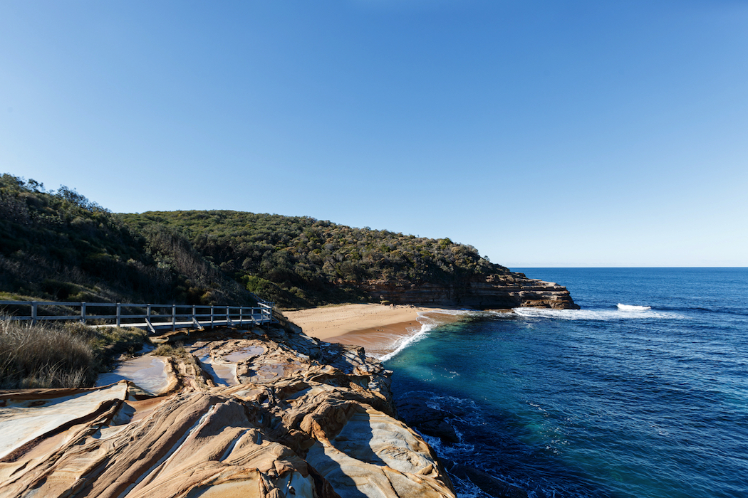 Reasons to visit the New South Wales Central Coast. The Bouddi coastal walk extends 8 kilometres between Putty Beach and Macmasters Beach.