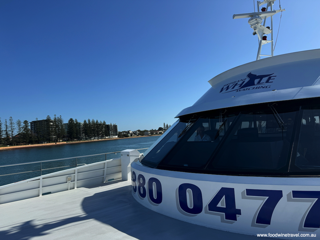 Brisbane Whale Watching's MV Eye Spy was purpose-built for whale-watching.