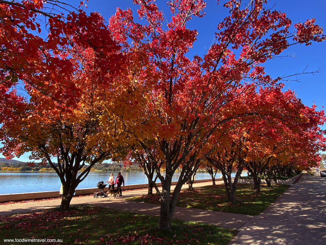 Autumn in Canberra