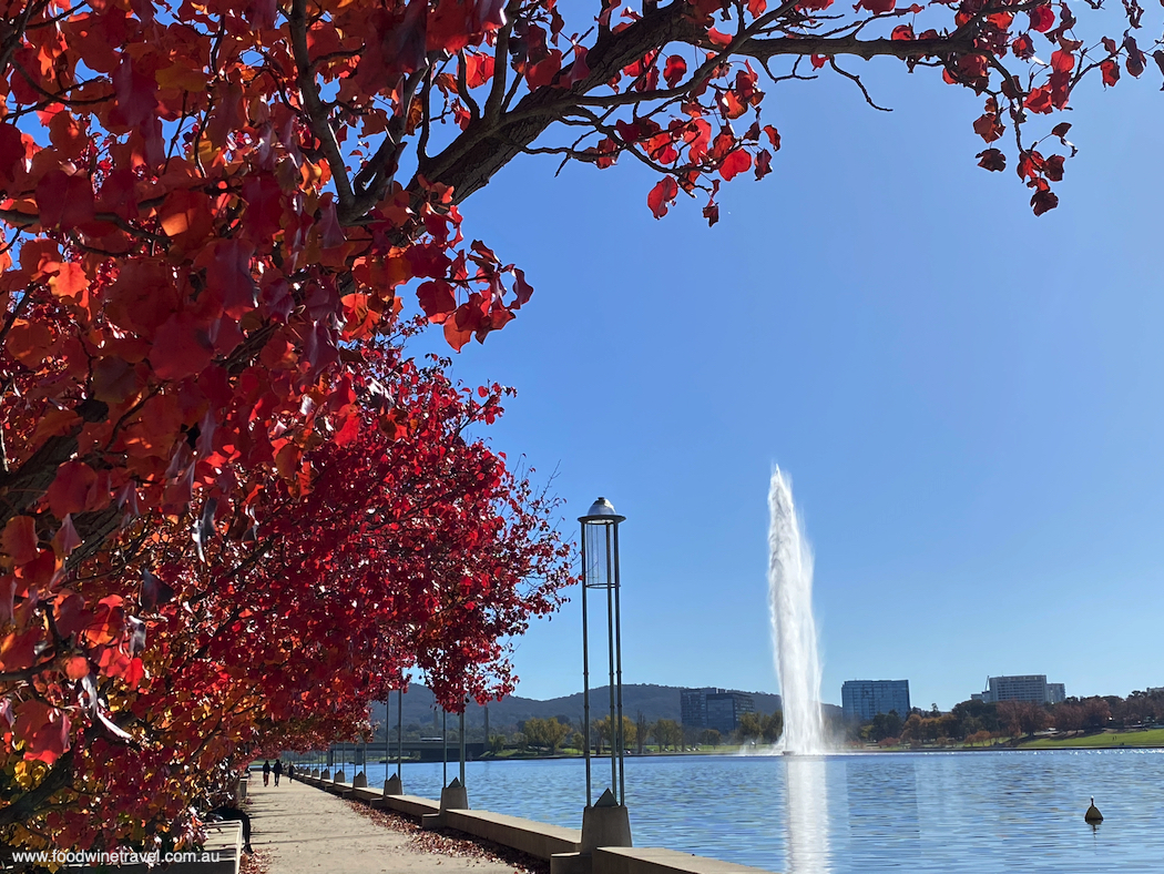 Bike paths make it easy to cycle the whole way around Lake Burley Griffin.