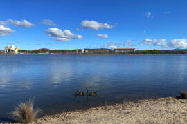 Canberra’s Lake Burley Griffin has turned 60 and we're celebrating with this list of 10 ways to enjoy Lake Burley Griffin.