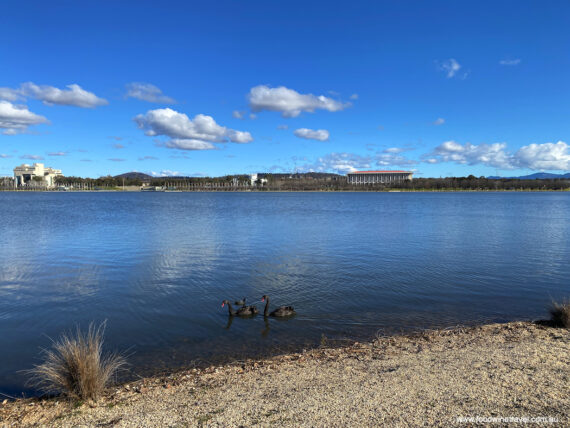 Canberra’s Lake Burley Griffin has turned 60 and we're celebrating with this list of 10 ways to enjoy Lake Burley Griffin.