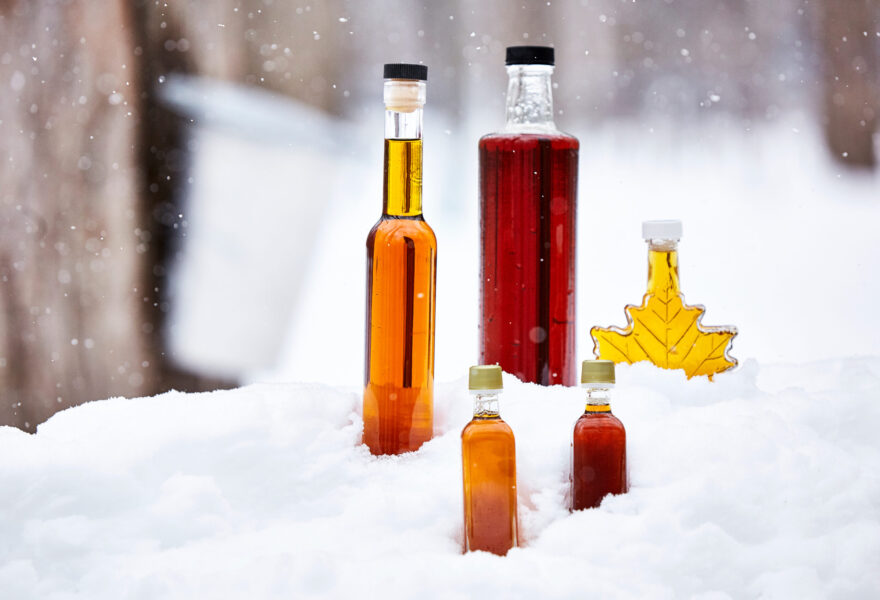 The four grades of maple syrup