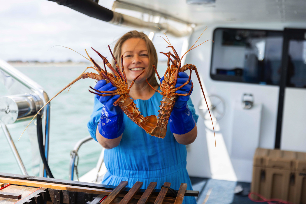 Guests are shown how to catch a Western Rock Lobster.