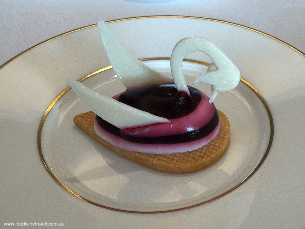 Pear and cassis Panna Cotta Swan,